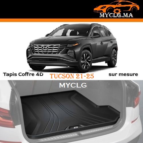 Tapis Coffre Tucson II