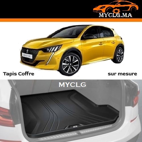 Tapis Coffre P208 II