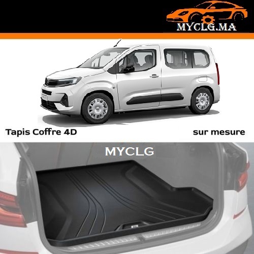 Tapis Coffre Combo E