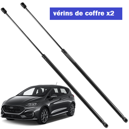 Vérins de coffre Ford fiesta